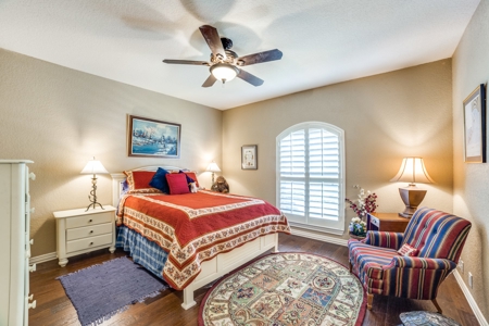 Luxury Home on 10 Acres South of San Antonio, Texas - image 19