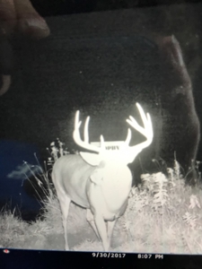 Monroe County Iowa Compact Whitetail Farm - image 17