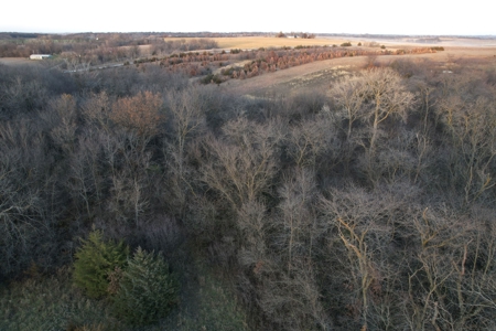 Monroe County Iowa Compact Whitetail Farm - image 35