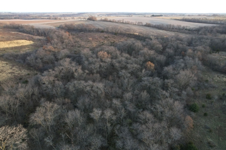 Monroe County Iowa Compact Whitetail Farm - image 36