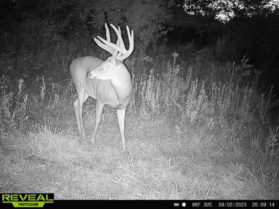 Monroe County Iowa Compact Whitetail Farm - image 9
