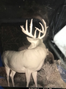 Monroe County Iowa Compact Whitetail Farm - image 16