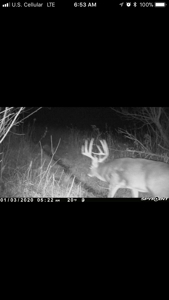 Monroe County Iowa Compact Whitetail Farm - image 23