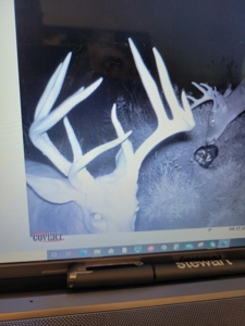 Monroe County Iowa Compact Whitetail Farm - image 13
