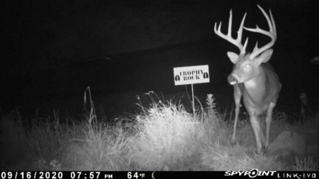 Monroe County Iowa Compact Whitetail Farm - image 27