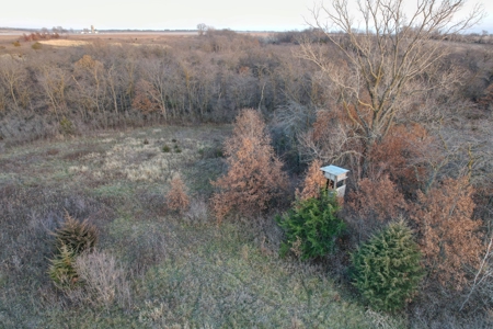 Monroe County Iowa Compact Whitetail Farm - image 34