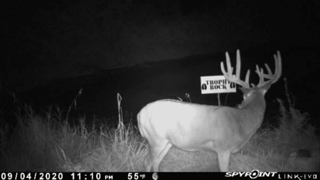 Monroe County Iowa Compact Whitetail Farm - image 26