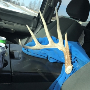 Monroe County Iowa Compact Whitetail Farm - image 28