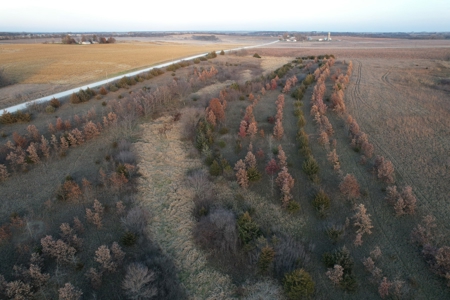 Monroe County Iowa Compact Whitetail Farm - image 37