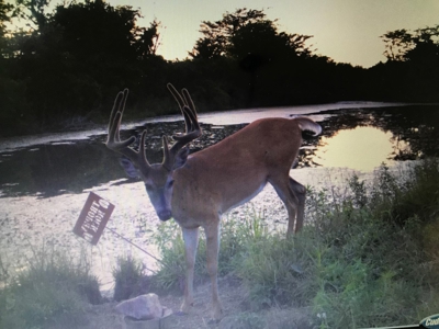 Monroe County Iowa Compact Whitetail Farm - image 21