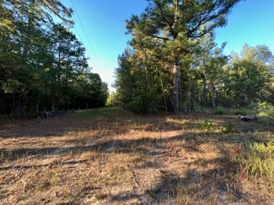 Hunting and Recreational Land In Upshur County - image 9