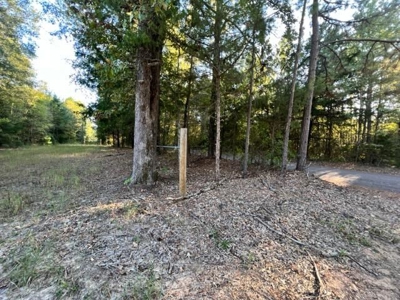 Hunting and Recreational Land In Upshur County - image 11