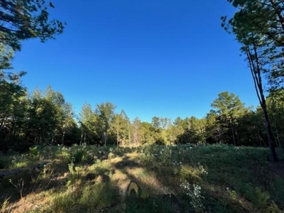 Hunting and Recreational Land In Upshur County - image 5