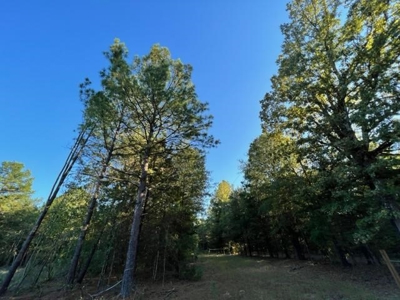 Hunting and Recreational Land In Upshur County - image 7