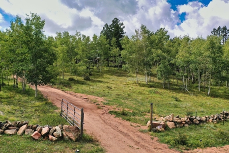 Santa-Fe Mountain Oasis An Equestrian Paradise - image 50