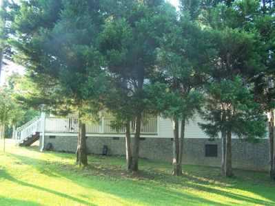 Lake View Home on Lake Wateree, SC. Minutes to Boat Ramp. - image 34