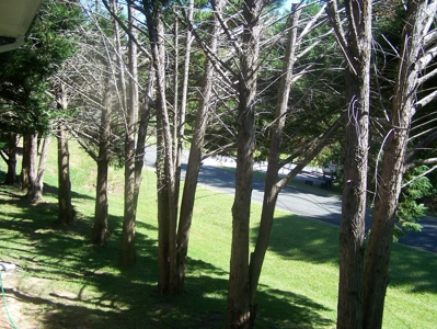 Lake View Home on Lake Wateree, SC. Minutes to Boat Ramp. - image 24