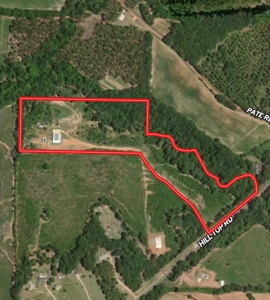Home and land for sale - image 1