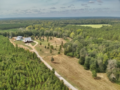 Home and land for sale - image 50