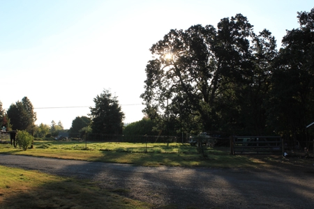 Discover Your Dream Home in Grand Mound, WA on 4.79 Acres! - image 16