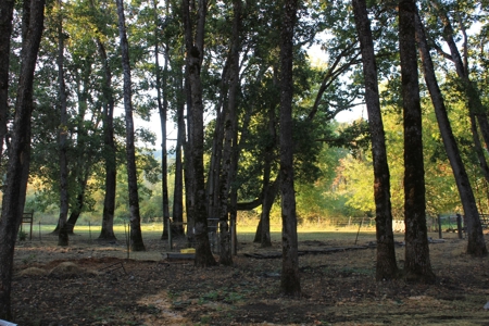 Discover Your Dream Home in Grand Mound, WA on 4.79 Acres! - image 8