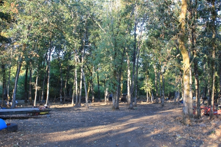 Discover Your Dream Home in Grand Mound, WA on 4.79 Acres! - image 5