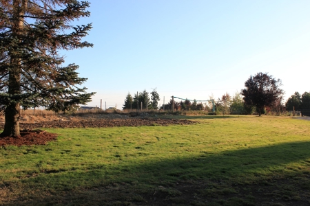 Discover Your Dream Home in Grand Mound, WA on 4.79 Acres! - image 2