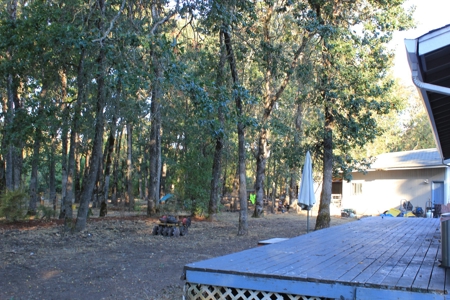 Discover Your Dream Home in Grand Mound, WA on 4.79 Acres! - image 19