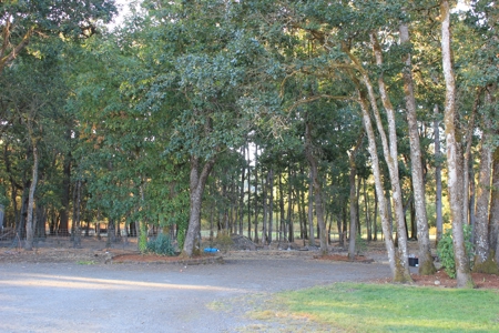 Discover Your Dream Home in Grand Mound, WA on 4.79 Acres! - image 18
