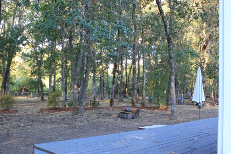 Discover Your Dream Home in Grand Mound, WA on 4.79 Acres! - image 20