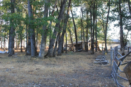 Discover Your Dream Home in Grand Mound, WA on 4.79 Acres! - image 13