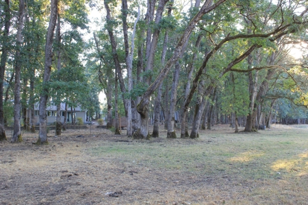 Discover Your Dream Home in Grand Mound, WA on 4.79 Acres! - image 12