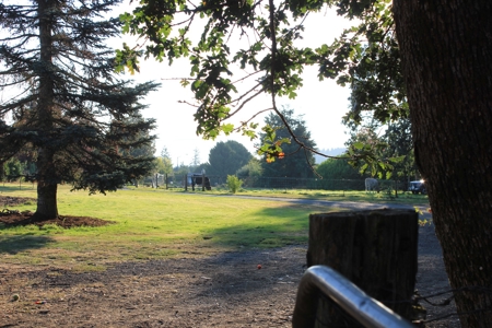Discover Your Dream Home in Grand Mound, WA on 4.79 Acres! - image 14