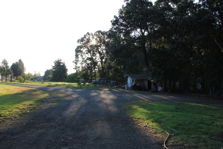 Discover Your Dream Home in Grand Mound, WA on 4.79 Acres! - image 3