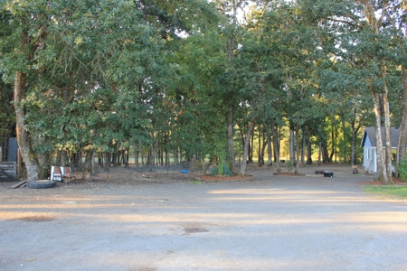 Discover Your Dream Home in Grand Mound, WA on 4.79 Acres! - image 36