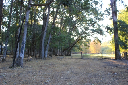Discover Your Dream Home in Grand Mound, WA on 4.79 Acres! - image 9