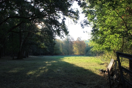 Discover Your Dream Home in Grand Mound, WA on 4.79 Acres! - image 11