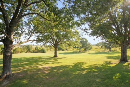 Secluded Luxury Home & Land Close to West Plains Missouri - image 17