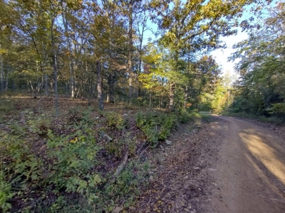 23 Acres for Sale in Madison County, Arkansas - image 6