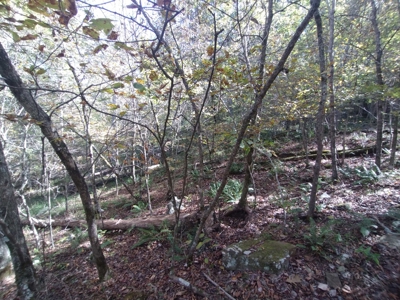 23 Acres for Sale in Madison County, Arkansas - image 10
