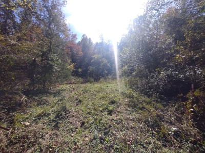 23 Acres for Sale in Madison County, Arkansas - image 5