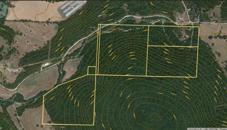 23 Acres for Sale in Madison County, Arkansas - image 2