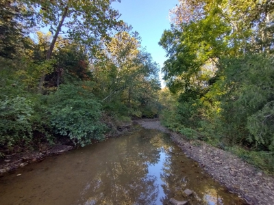 23 Acres for Sale in Madison County, Arkansas - image 7