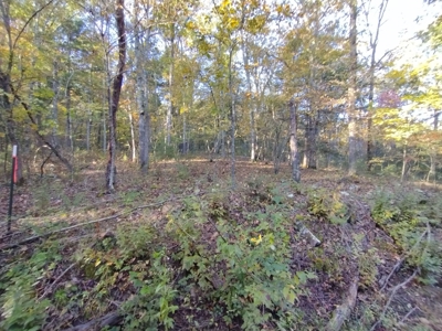 23 Acres for Sale in Madison County, Arkansas - image 18