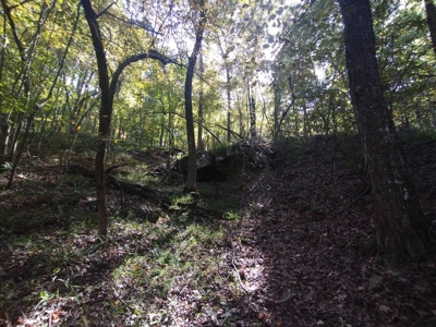 23 Acres for Sale in Madison County, Arkansas - image 14