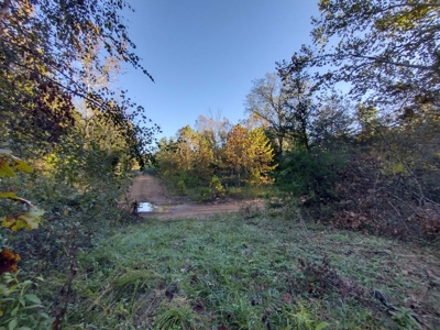 23 Acres for Sale in Madison County, Arkansas - image 17