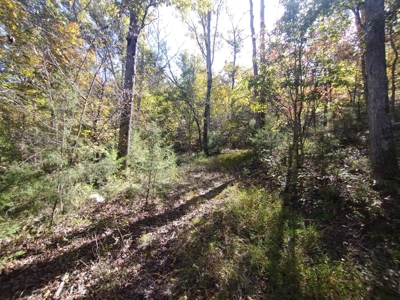 23 Acres for Sale in Madison County, Arkansas - image 13