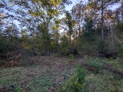 23 Acres for Sale in Madison County, Arkansas - image 12