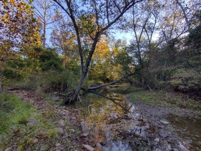 23 Acres for Sale in Madison County, Arkansas - image 15
