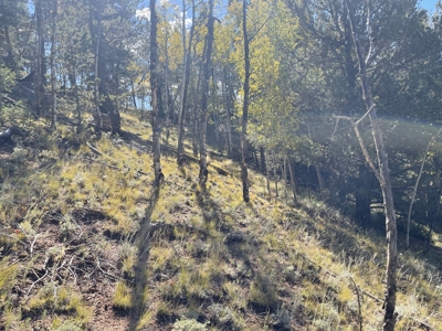 Land for Sale in the Colorado Mountains - image 14